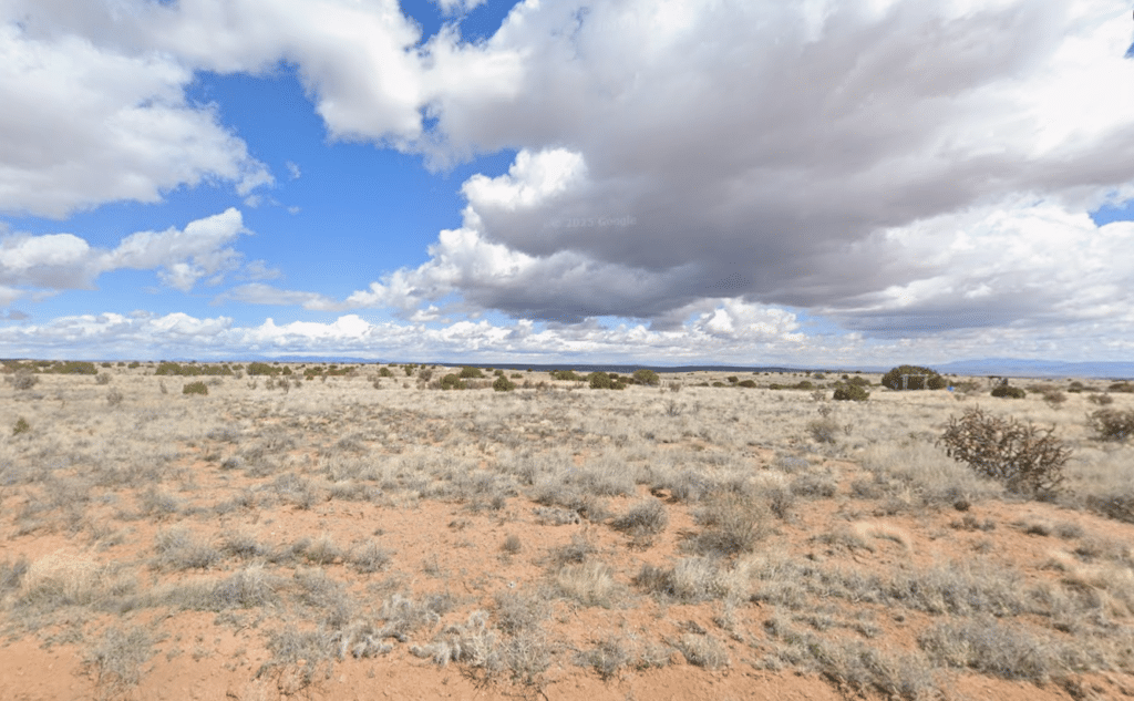 Level half-acre lot in New Mexico with mountain views - photo 4