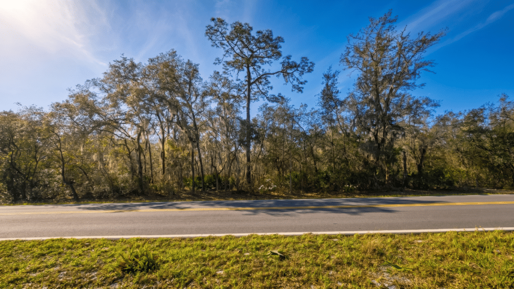 Flat buildable land for $16,125 cash in Interlachen, Florida - photo 5