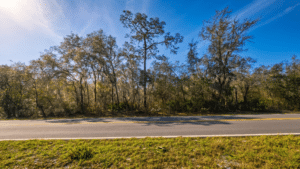 Flat buildable land for $16,125 cash in Interlachen, Florida - photo 5