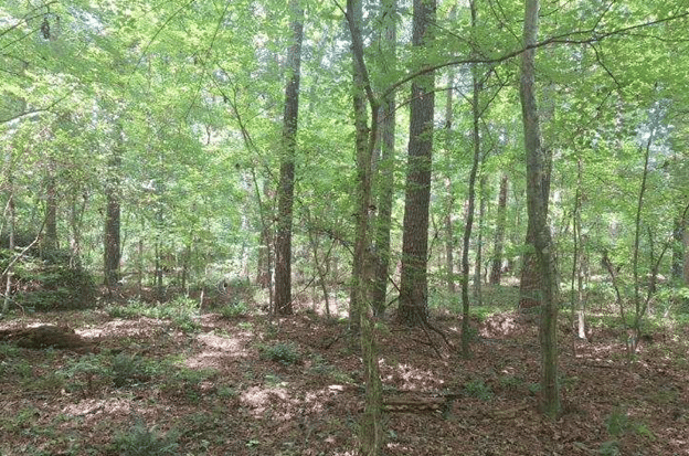 Three Infill Lots in Durham – Priced Well Below Market