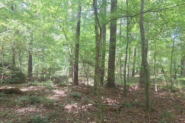 Three Infill Lots in Durham – Priced Well Below Market