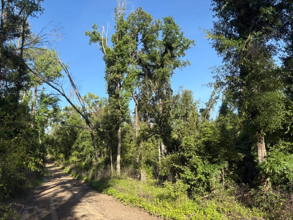 Your Family’s Weekend Basecamp in North Florida