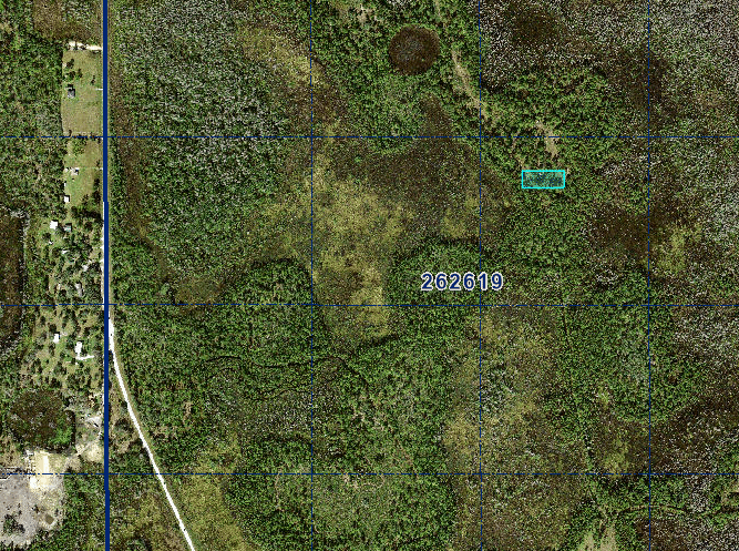 1 Acre Near Orlando & Tampa — A Low-Cost Land Investment for the Future