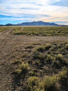 20-acre property with mountain views in Elko County, Nevada - photo 8