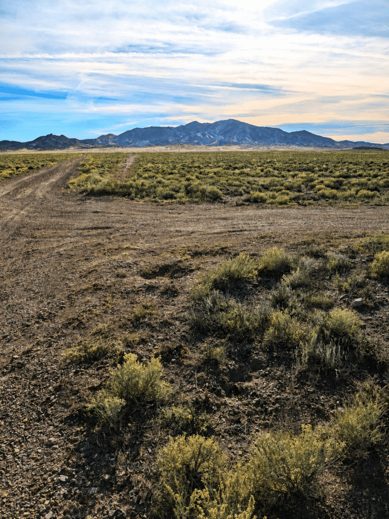 20-acre property with mountain views in Elko County, Nevada - photo 8