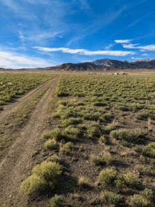 20-acre off-grid land with water rights in Elko County, Nevada - photo 6