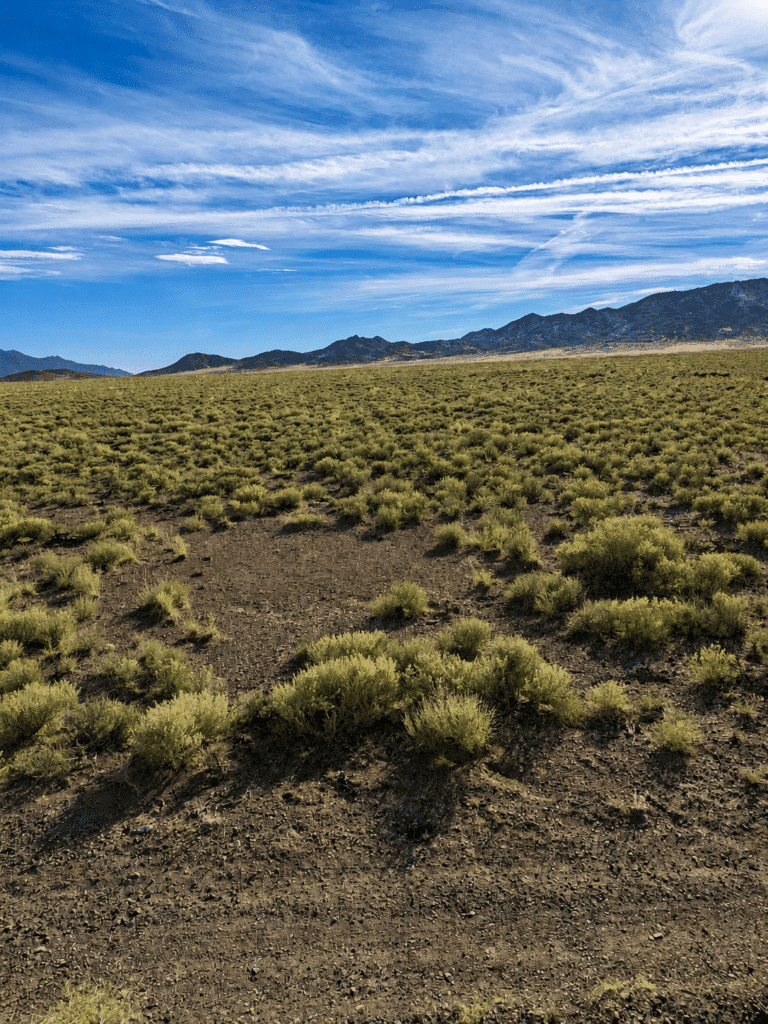 Flat terrain 20-acre parcel in Nevada open space district - photo 5