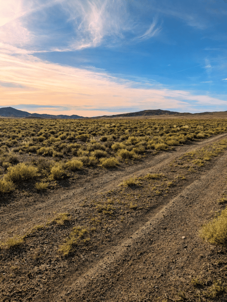 20-acre Nevada land listing bordering public land near Montello - photo 3