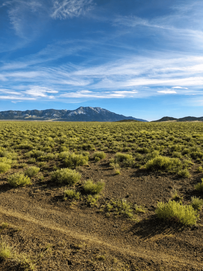 Flat buildable 20-acre lot in Elko County, Nevada with water rights - photo 2