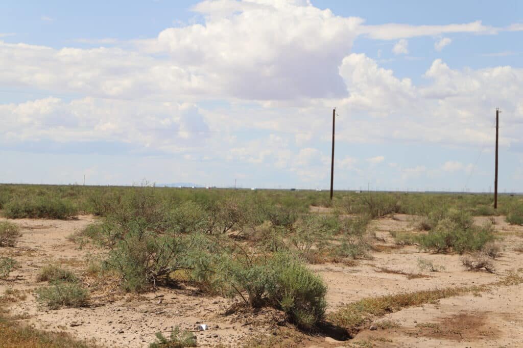 Owner-financed land listing: 2.04 acres Luna County, New Mexico $200 down - photo 4