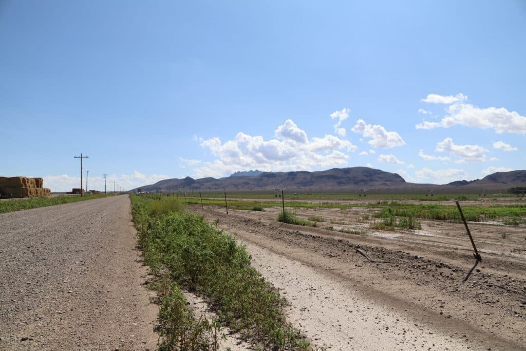 Flat terrain residential lot near Deming, New Mexico with cell service - photo 5
