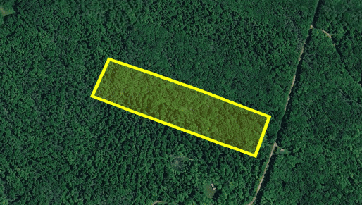 10 Acres Nisula MI – UP Camp Land, Trail Country, $199/Yr Taxes