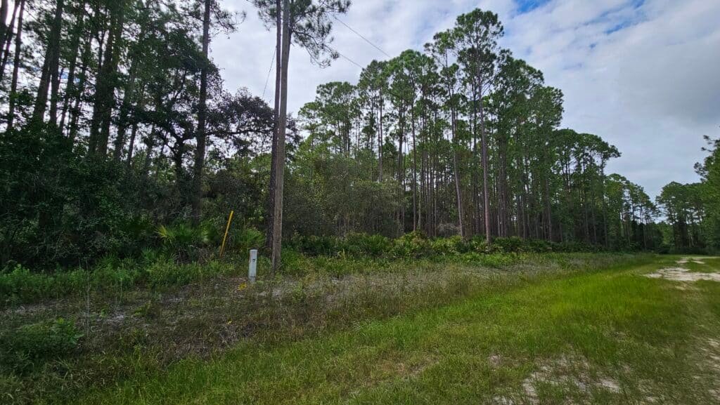 Buildable Florida land near water with well/cistern option - photo 6