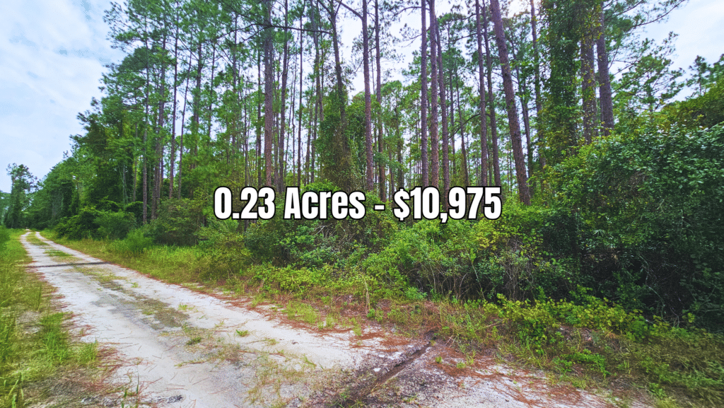 0.23 acre lot on Forest St, Putnam County, Florida for sale - photo 5