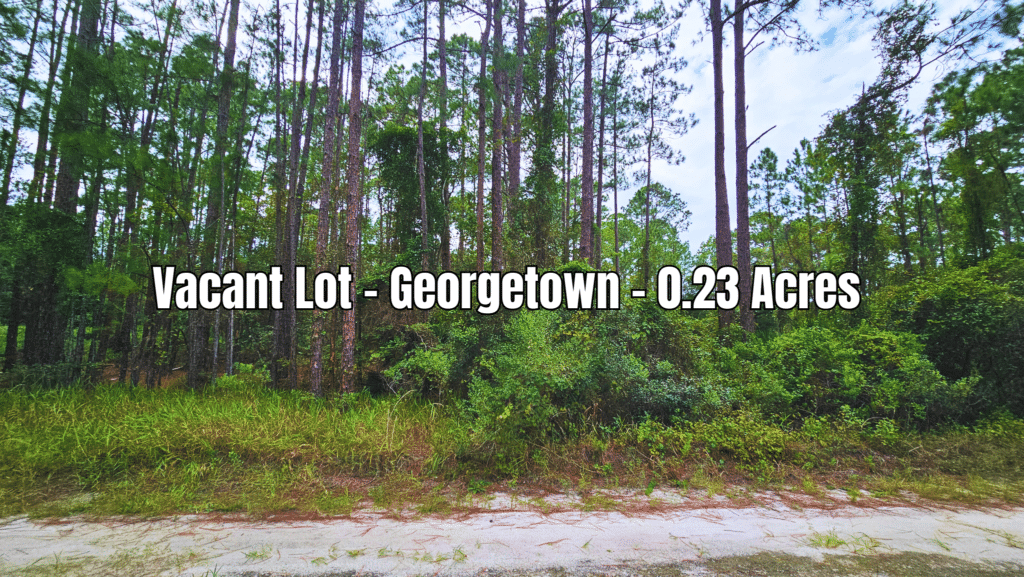 Own Land in Florida for Just $200 Down No HOA, Near Water!