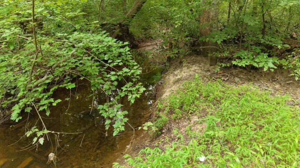 Owner-financed property with creek access near Green Bay, VA - photo 2