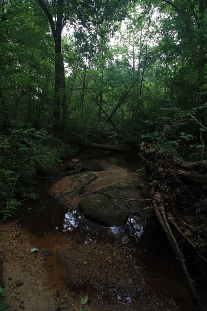 8.65 acres agricultural zoned land in Lunenburg County, Virginia - photo 3