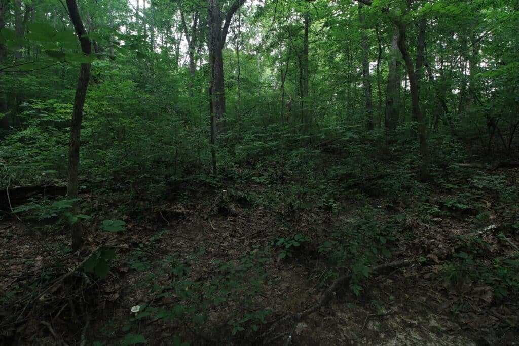 Private gravel road access to 8.65 acre lot in Virginia - photo 4