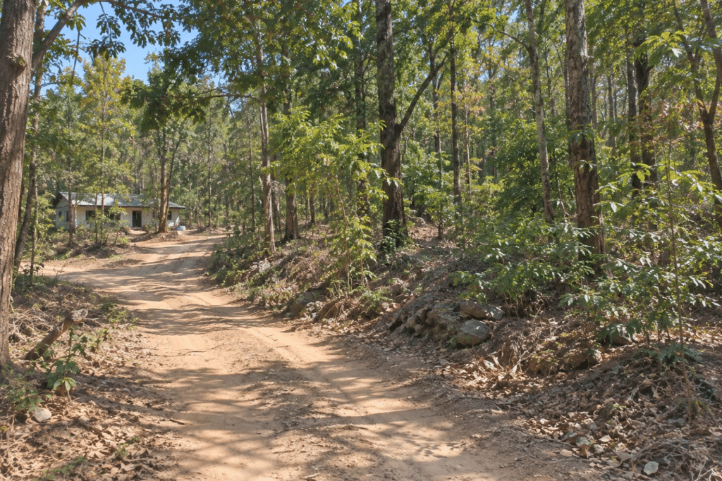 Wooded 0.12 Acres For Sale in Williford, AR! 100% Unrestricted!