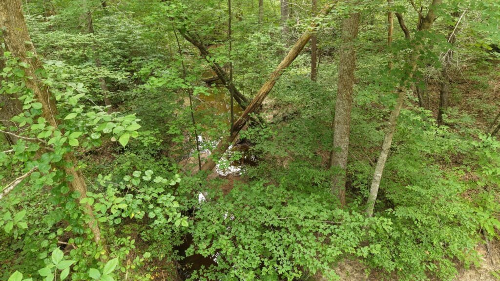 Rolling terrain land listing, $39,900 cash price, Virginia - photo 6