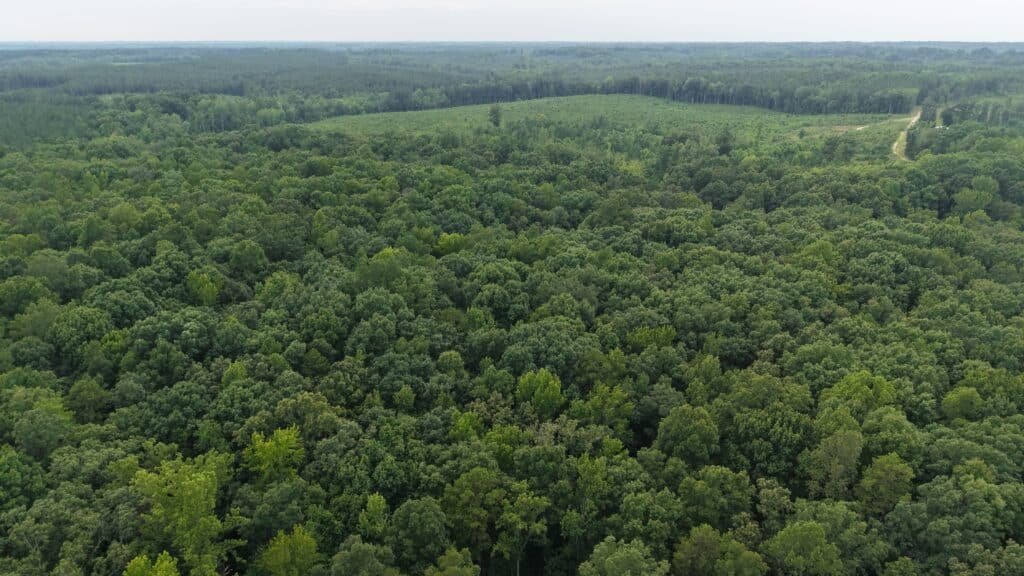 8.65 acre rural property in Zone A flood area, Lunenburg County - photo 7