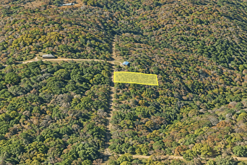 0.12 acre buildable land in Williford, Arkansas with road access - photo 4
