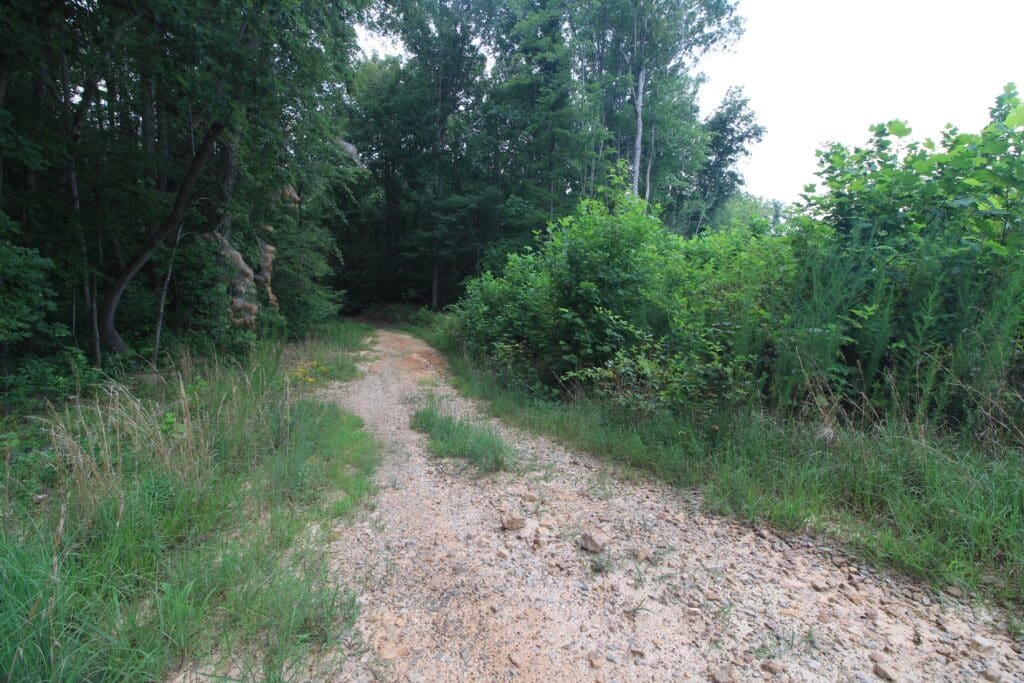 Sloped wooded acres near Green Bay, Lunenburg County, VA - photo 9