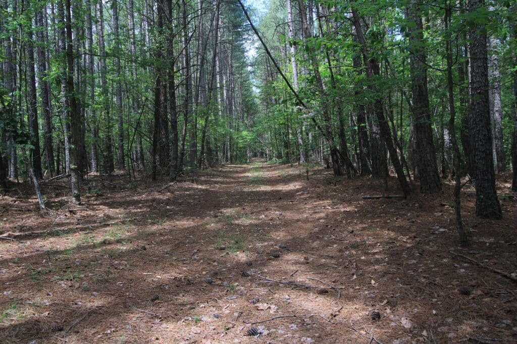 Mobile home allowed: 15.74 acre lot with well and septic, Virginia - photo 6