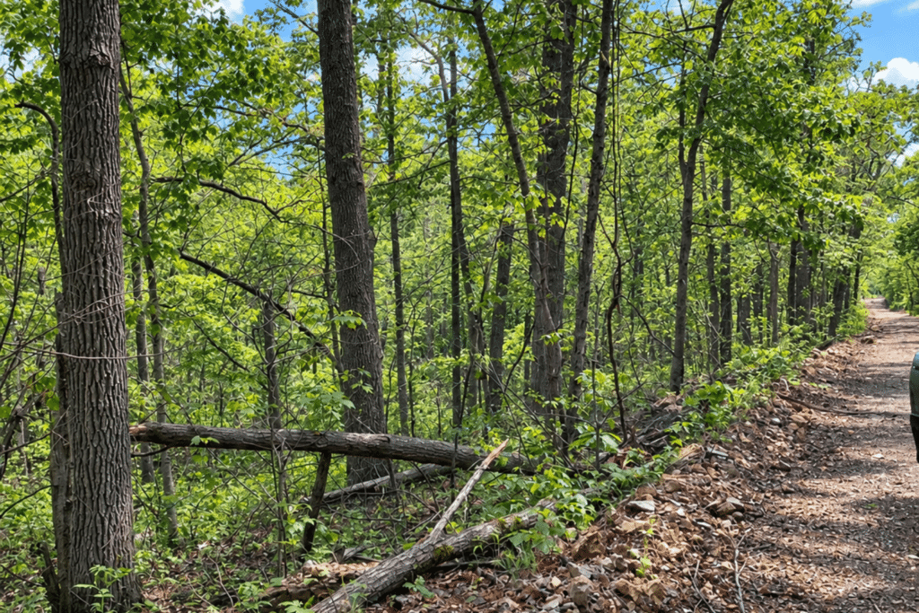 Small acreage lot for sale near Williford with power available on street - photo 6