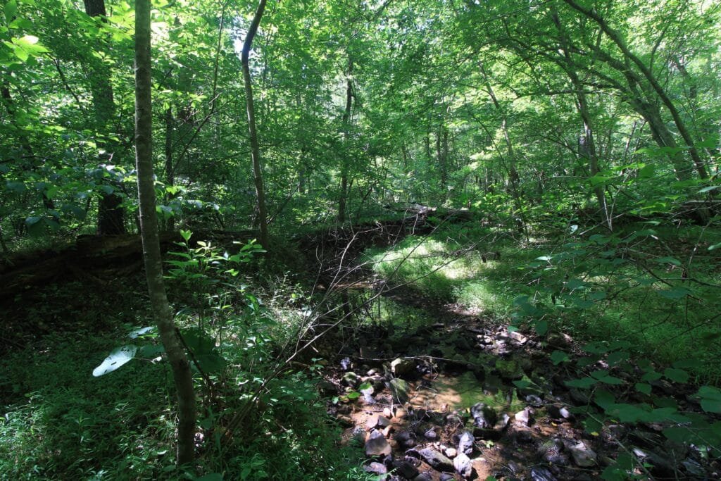 Seasonal creek front land: 15.74 acres near Pittsville, Pittsylvania County - photo 7