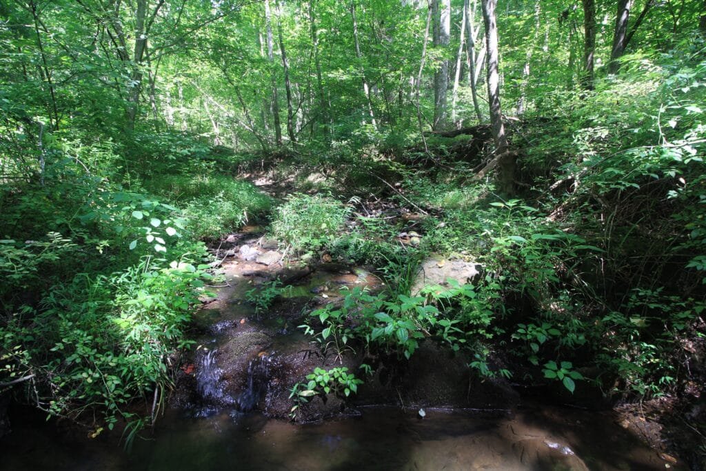 Rural Virginia acreage: 15.74 acres paved road access, power available - photo 8