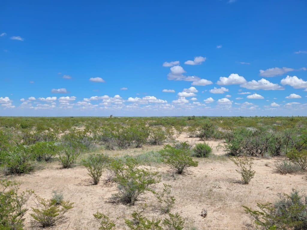10 Acres in West Texas, Owner Financed – Salt Creek, Culberson County - photo 5