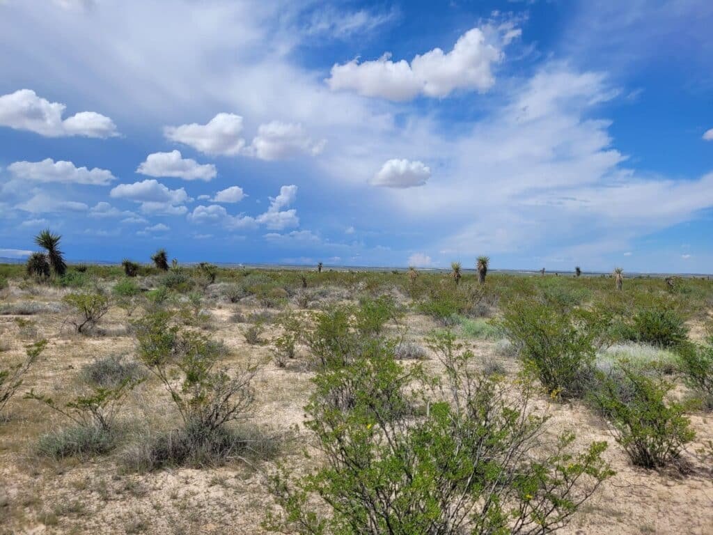 10 Acres in West Texas, Owner Financed – Salt Creek, Culberson County - photo 2