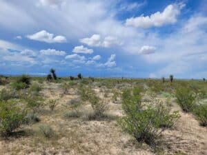 10 acre land for sale in Van Horn, Texas - photo 4