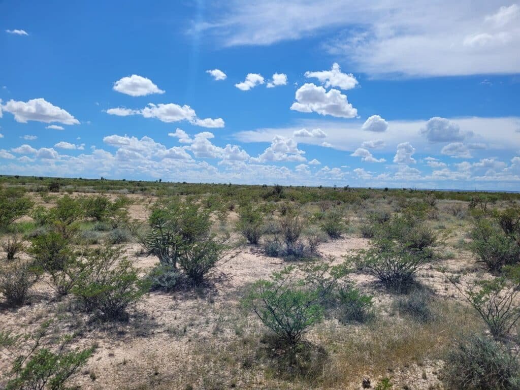 10 Acres in West Texas, Owner Financed – Salt Creek, Culberson County - photo 3