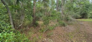 0.23 acre land for sale in GEORGETOWN, Florida - photo 4