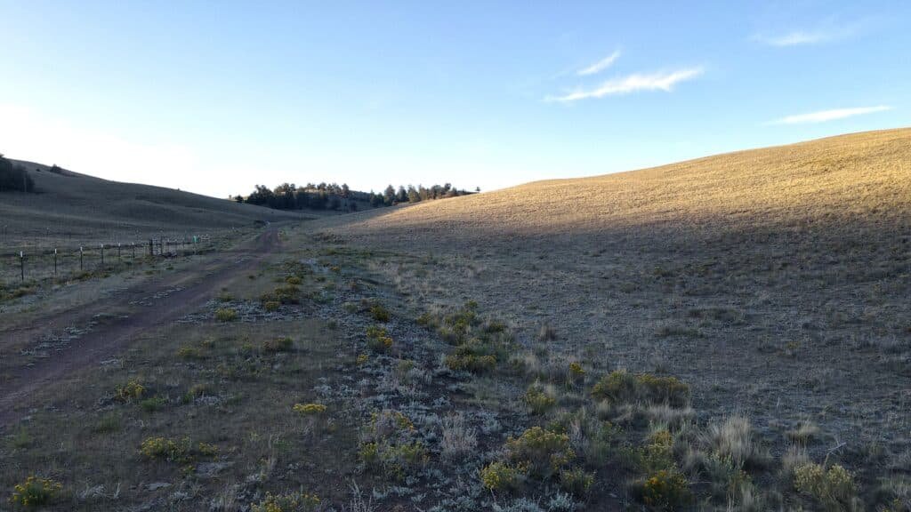 Flat 7-acre parcel in Park County, Colorado allowing RV and mobile homes - photo 3