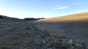 Flat 7-acre parcel in Park County, Colorado allowing RV and mobile homes - photo 3