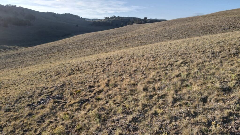 Owner-financed 7-acre lot in Hartsel, CO with $275 down payment - photo 2