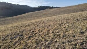 Owner-financed 7-acre lot in Hartsel, CO with $275 down payment - photo 2