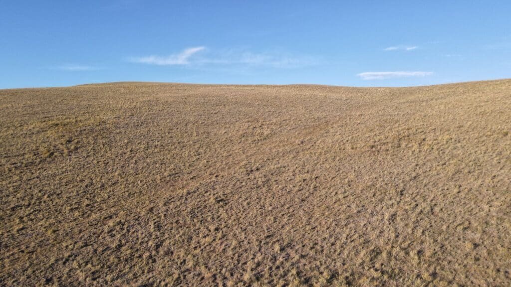 7-acre Colorado property allowing mobile homes and RV living - photo 8