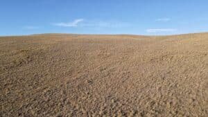 7-acre Colorado property allowing mobile homes and RV living - photo 8