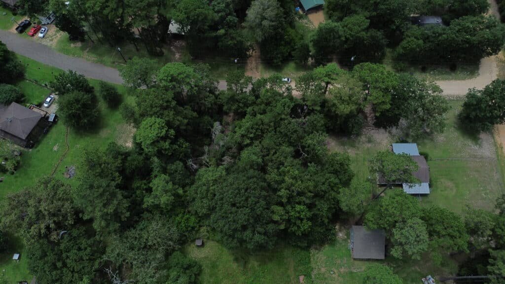 0.34 Acres in Tyler County, Texas – Lake Ivanhoe, Owner Financed - photo 2