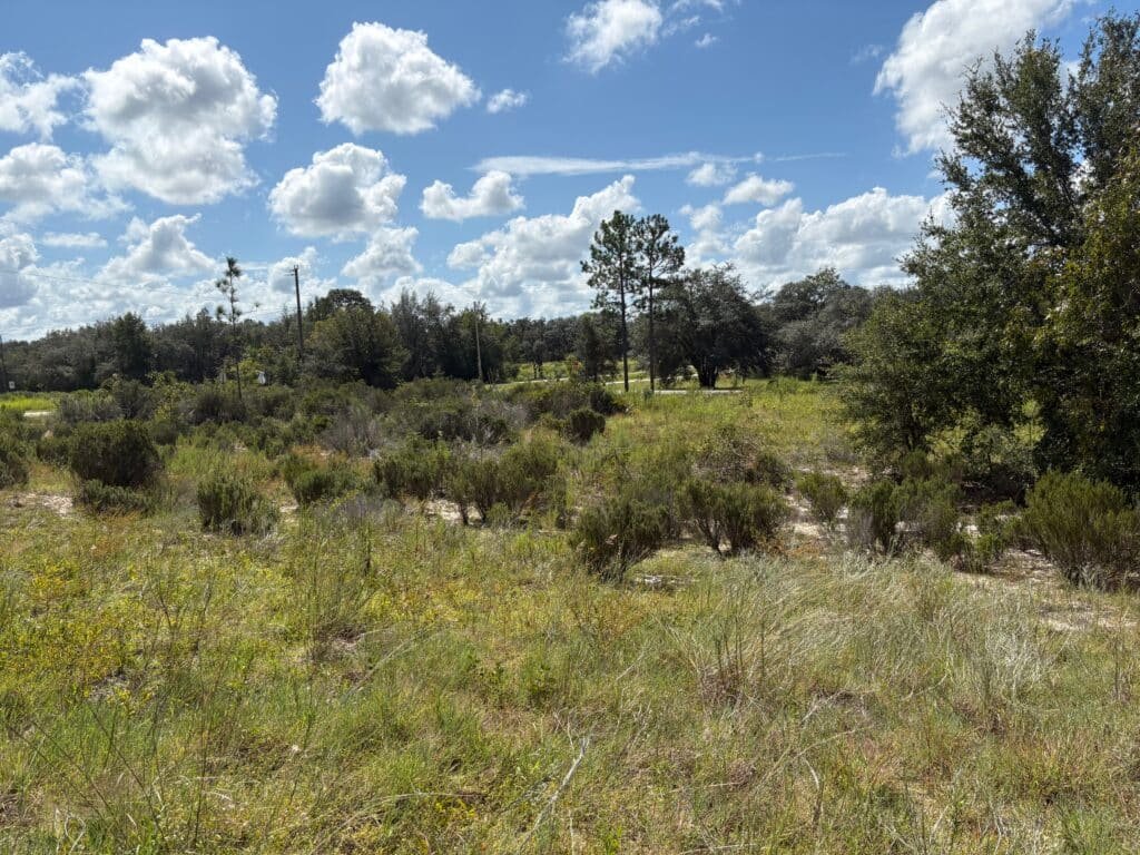 Affordable Land for Sale in Levy County, FL — Stop Paying Rent and Build Your Future - photo 7