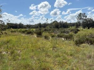 0.29 acre land for sale in Bronson, Florida - photo 9