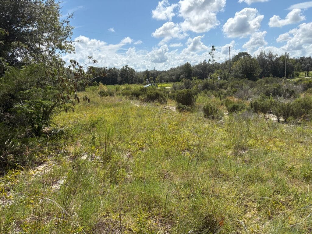 Affordable Land for Sale in Levy County, FL — Stop Paying Rent and Build Your Future - photo 10