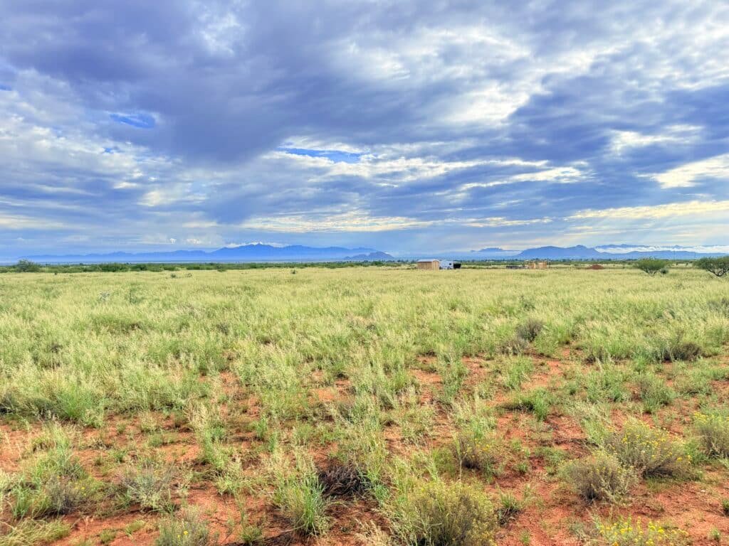Buildable lot near Pearce Arizona with well and septic - $3,999 cash price - photo 5