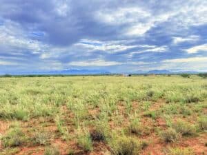 Buildable lot near Pearce Arizona with well and septic - $3,999 cash price - photo 5