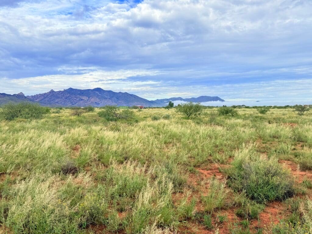 Cochise County lot near Pearce AZ: open buildable land, camping permitted - photo 9