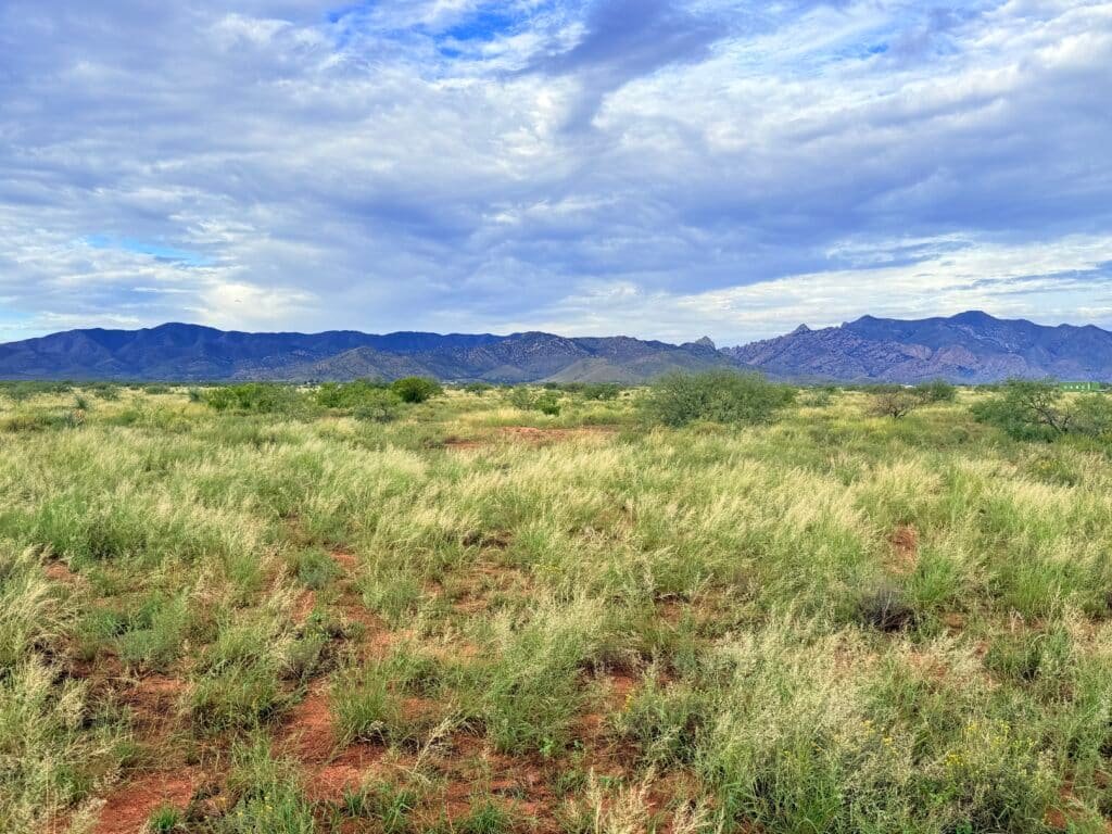 0.83 acre parcel Sunsites Pearce Arizona - site-built homes allowed - photo 10